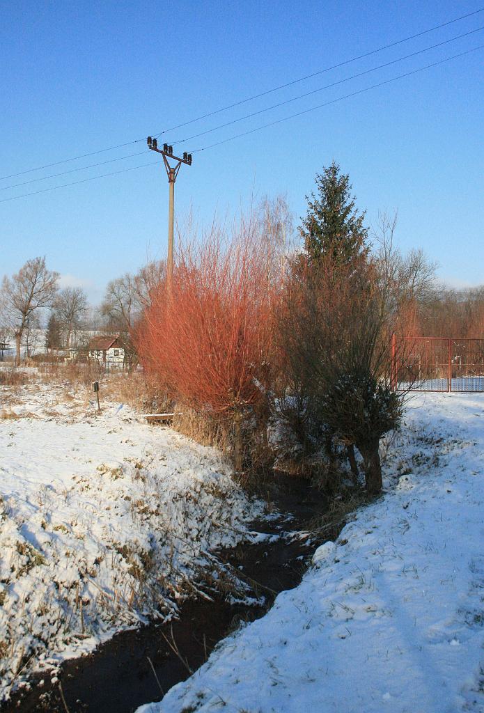 130113-03.JPG