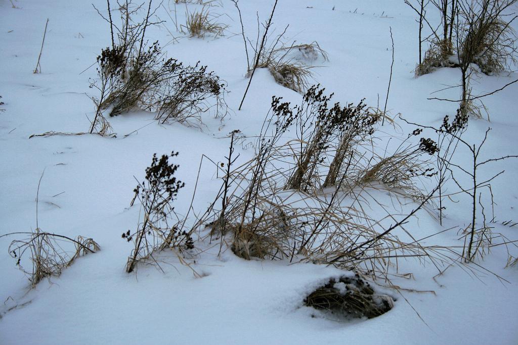130223-09.JPG