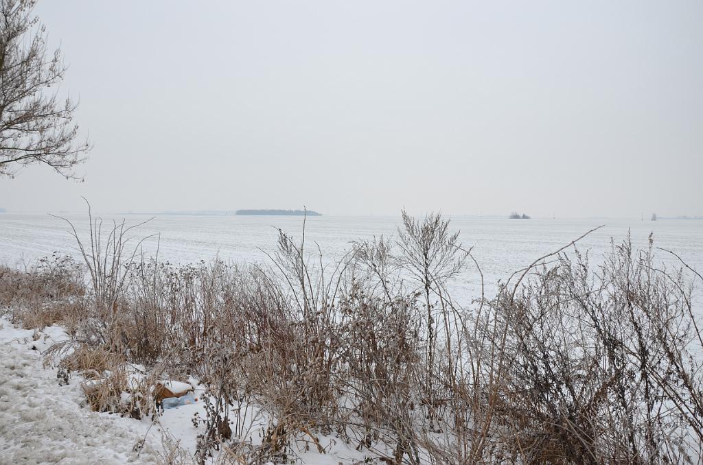 DSC_0016.jpg