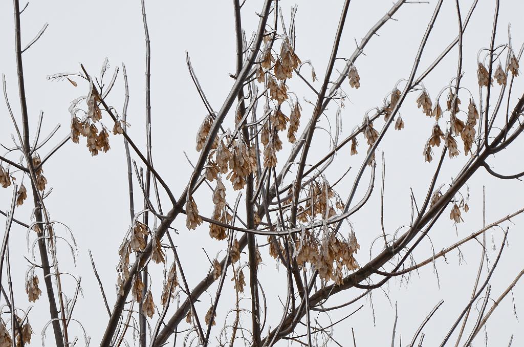 DSC_0027.jpg