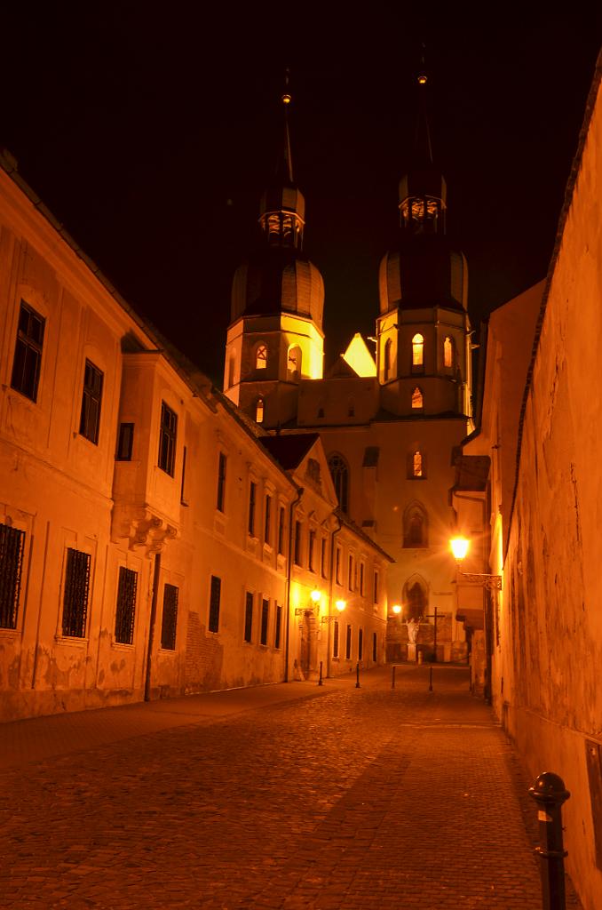 DSC_0099.jpg - Trnava - Dóm svätého Mikuláša