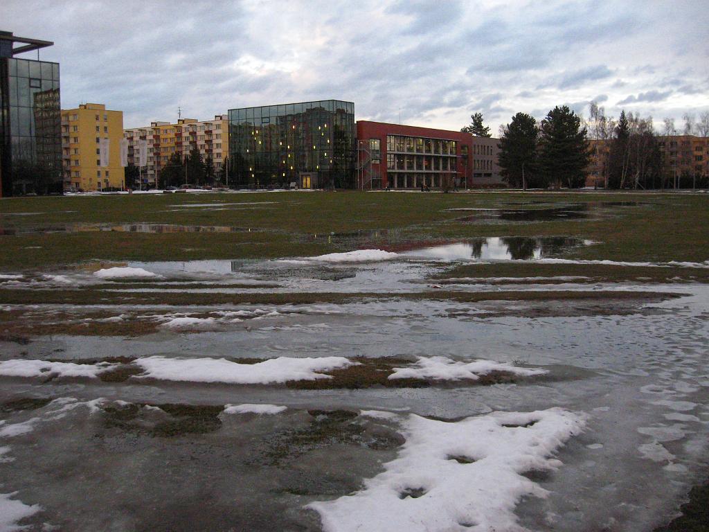 IMG_2294.jpg