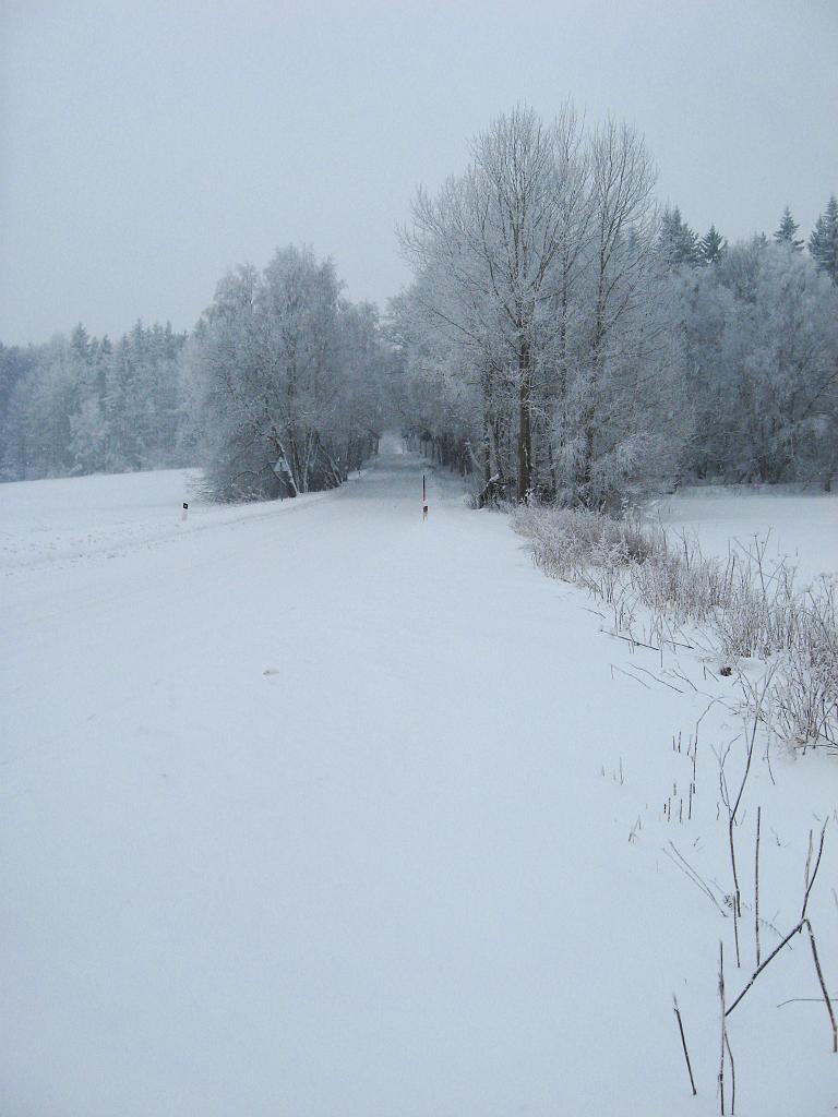 IMG_2367.jpg