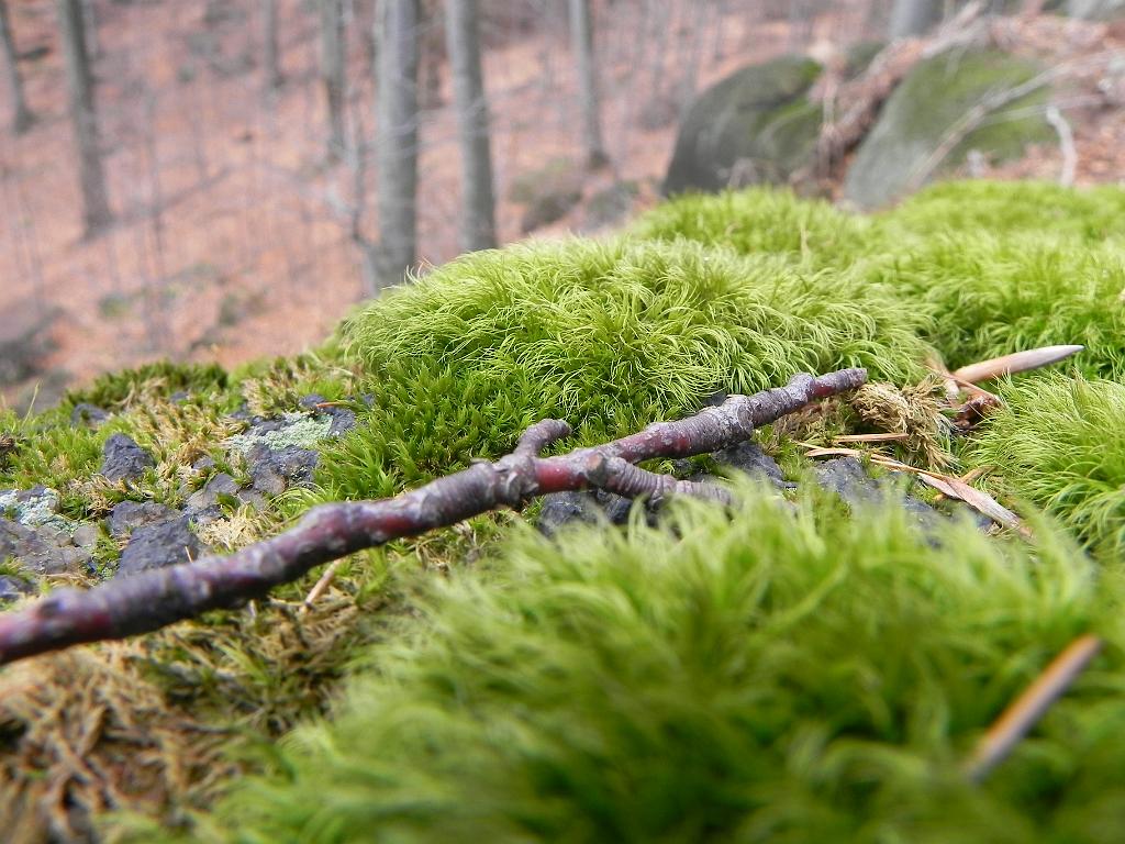 DSCN0069.JPG