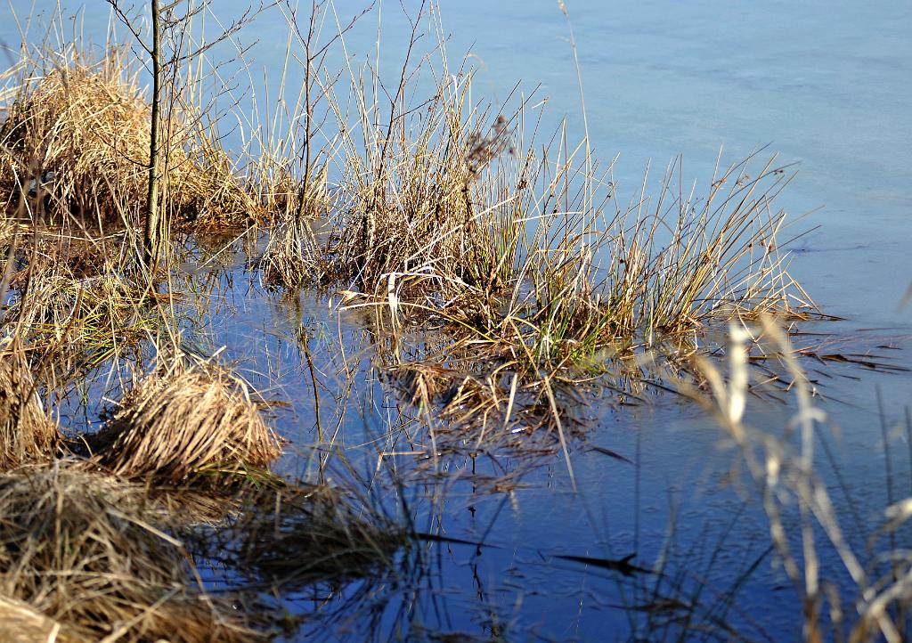 2016_01_28.JPG - Boskovice