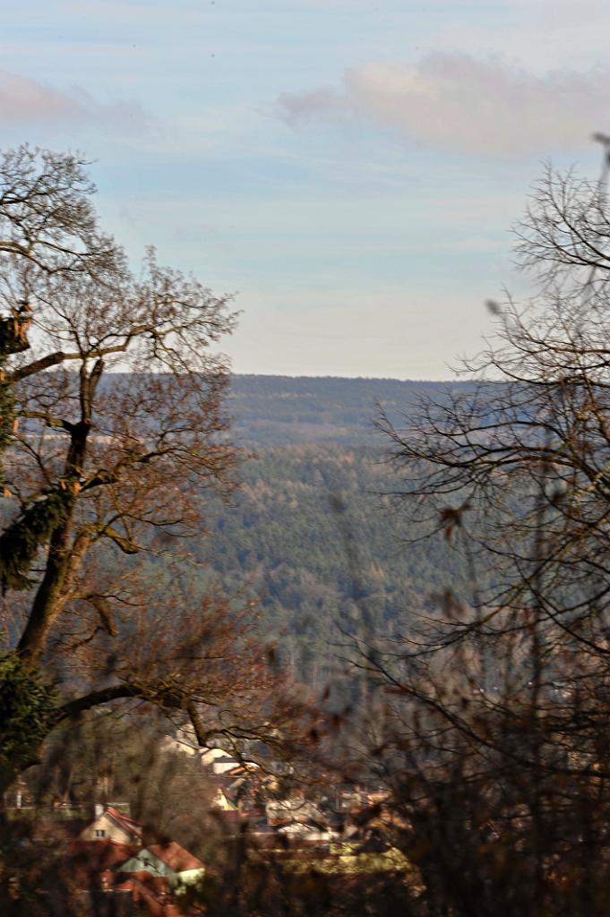 2016_01_50.JPG - Boskovice