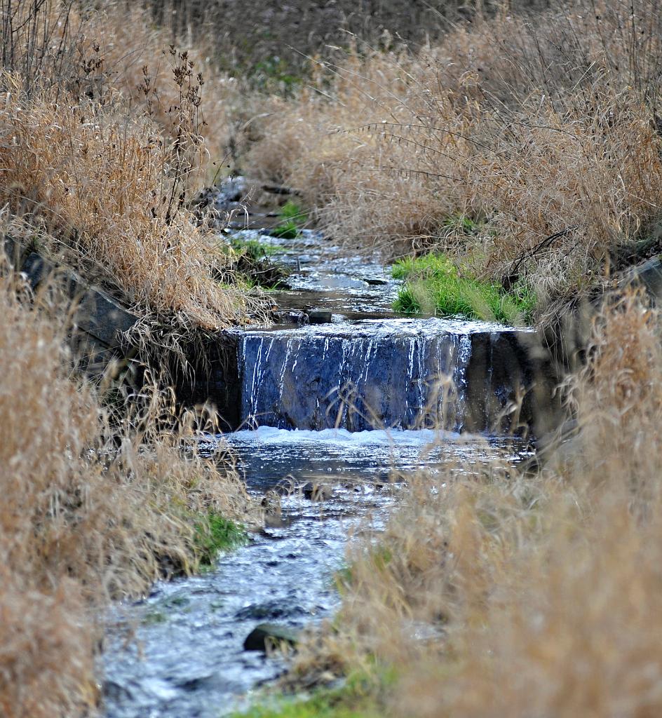 2016_02_48.JPG