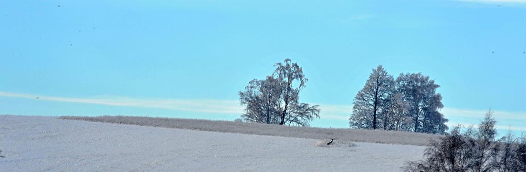 2016_02_90.JPG