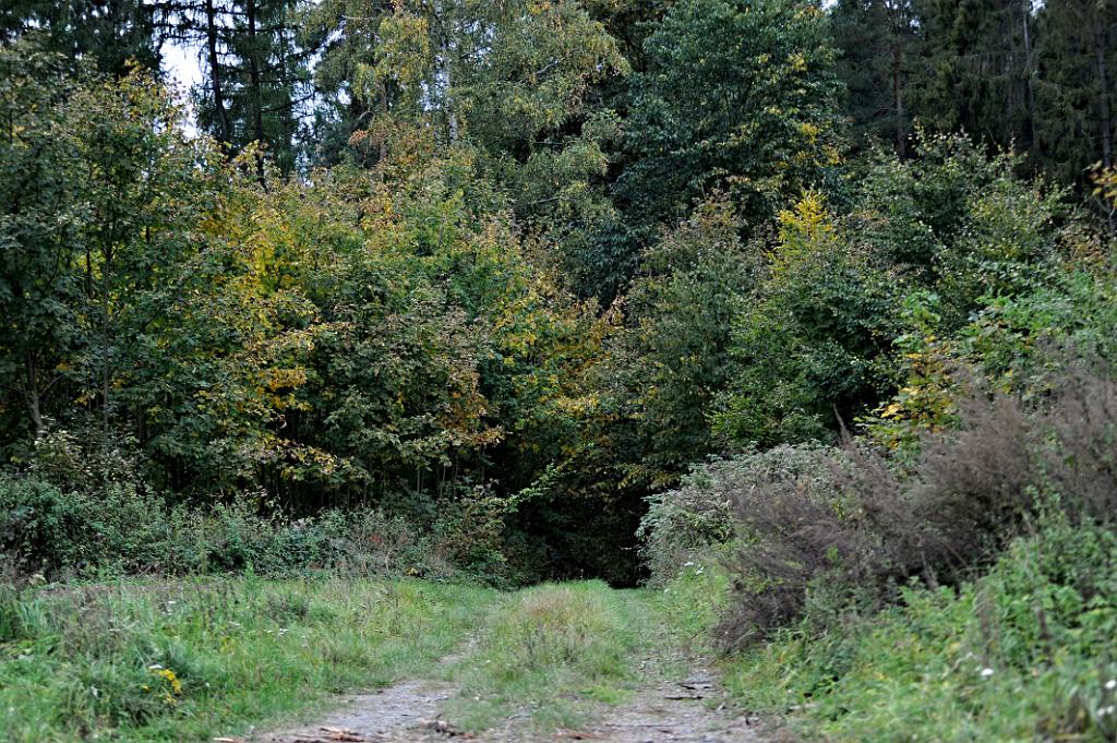 maya_051.JPG - Kružberská přehrada