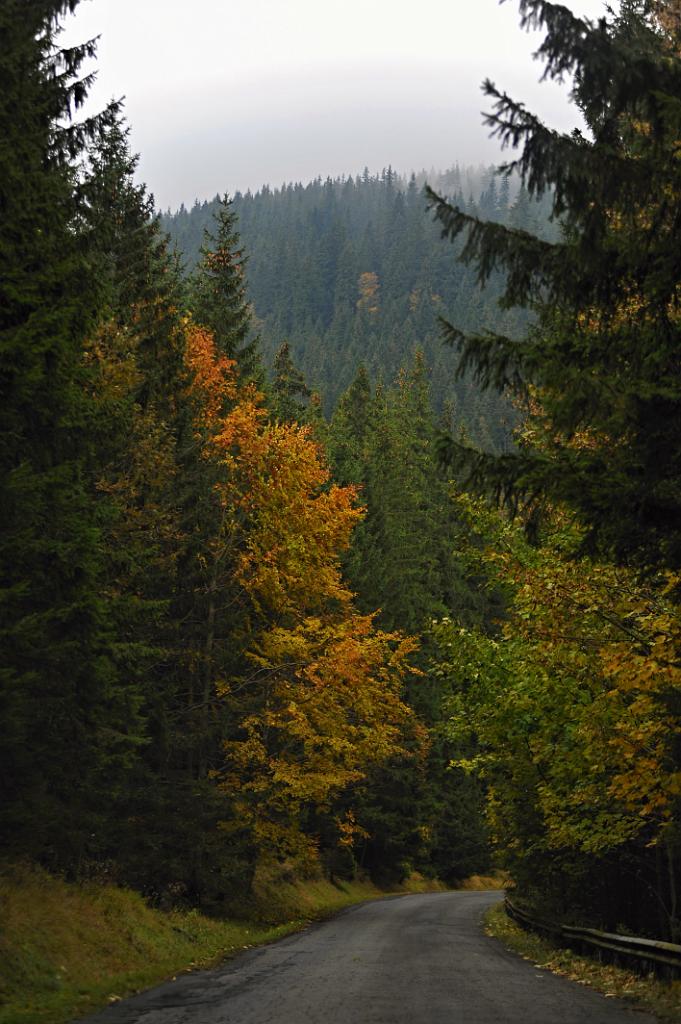 maya_147.JPG - Bělá pod Pradědem