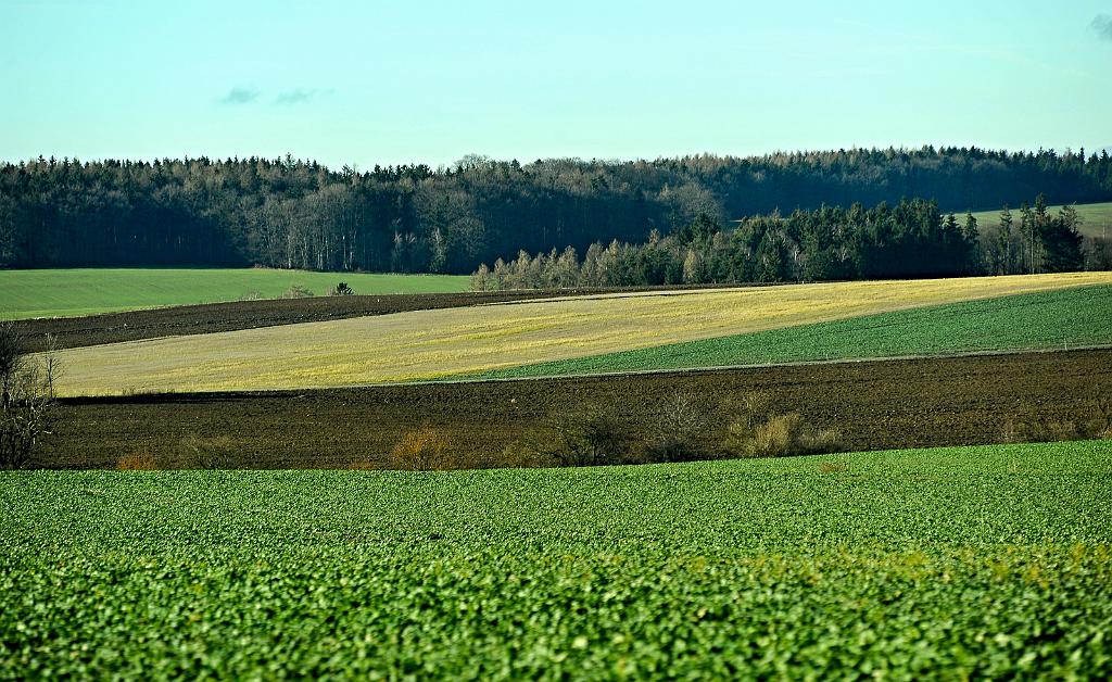 Maya_z_014_06.jpg - Drahanská vrchovina
