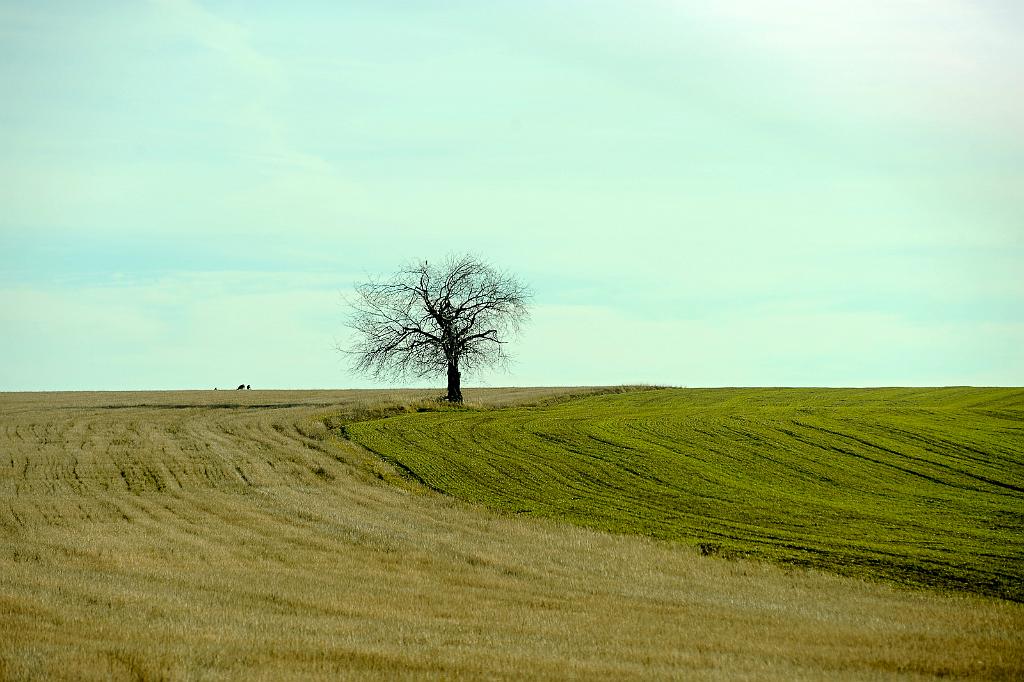 Maya_z_014_07.jpg - Drahanská vrchovina